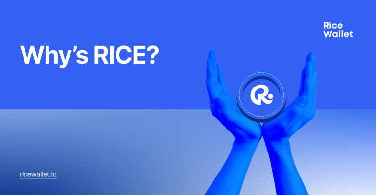 what-does-rice-mean-rice-wallet-blog